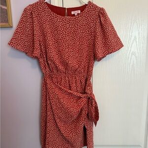 Pink Lily Floral Red Mini Dress